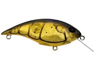 Berkley Shallow Money Badger 5 Crankbait