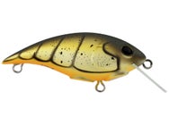 Berkley Shallow Money Badger 4 Crankbait