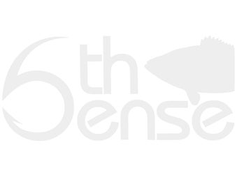6th Sense Fish Sticker White