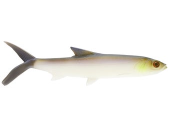 13 Fishing - Coalition The Ladyfish Swimbait