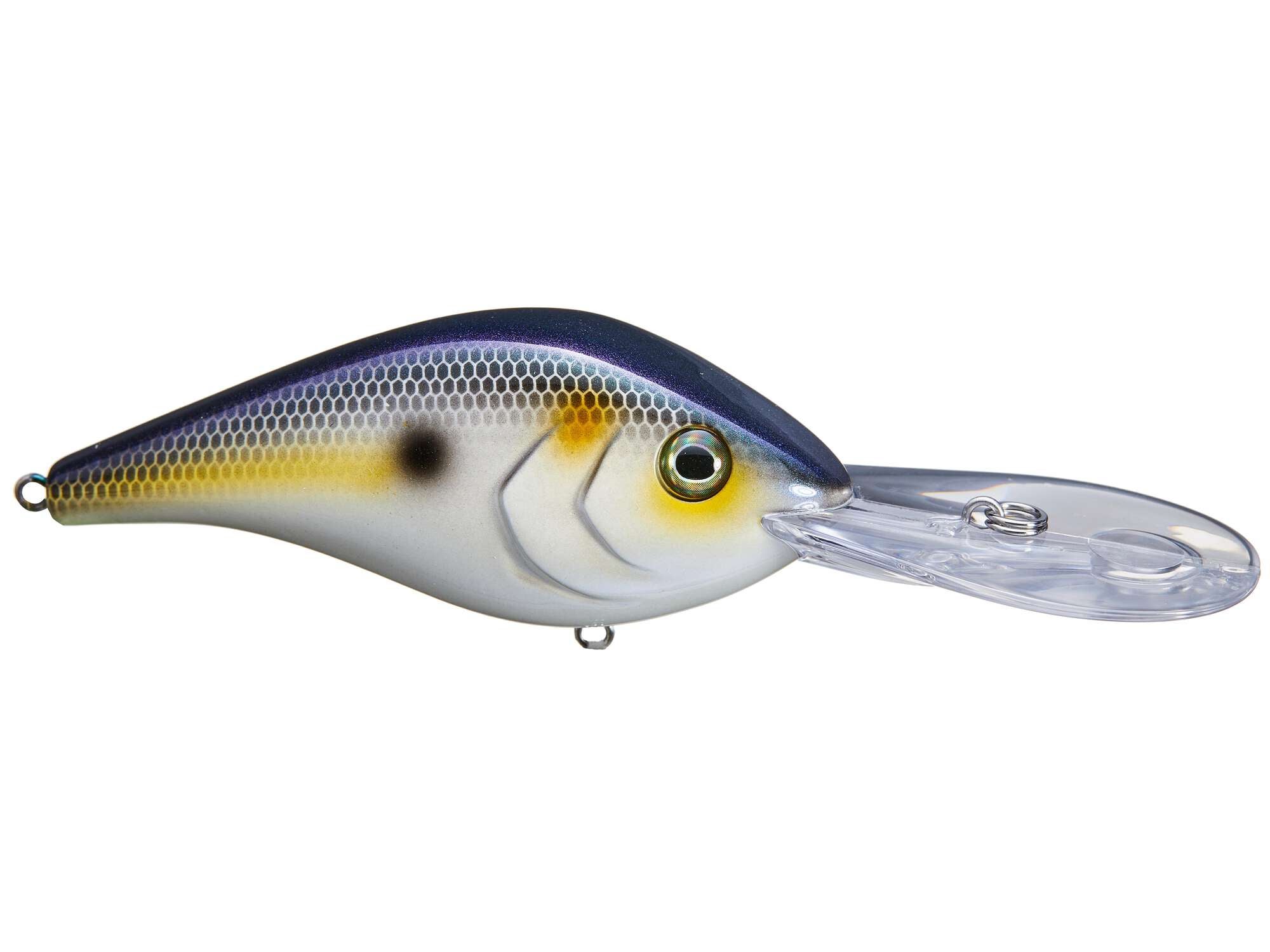 Berkley Dredger 25.5 Crankbaits Tackle Warehouse