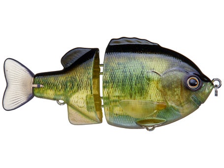 bass shooter lure Mafia Shot Caller Jerkbait Its highly detailed paint schemes and expertly crafted components make it a must Deps Tiny Bullshooter 100 Glide