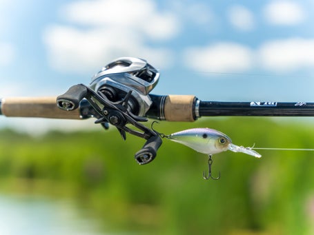 Daiwa Zillion SV TW Casting Reel Daiwa Zillion SV TW Casting Reel