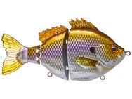 Fishlab Bio Gill Pro Swimbait