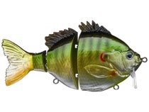 Fishlab Bio Gill Wakebait