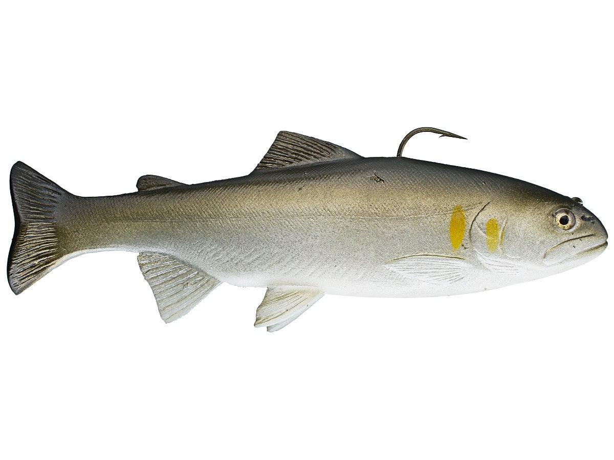 huddleston trout