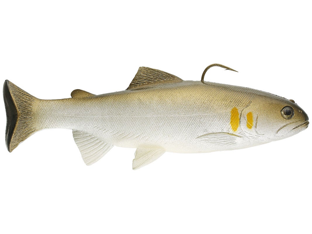 huddleston trout