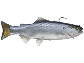 Hawg Hunter Magnum Trout Swimbait TW Gizzard Shad