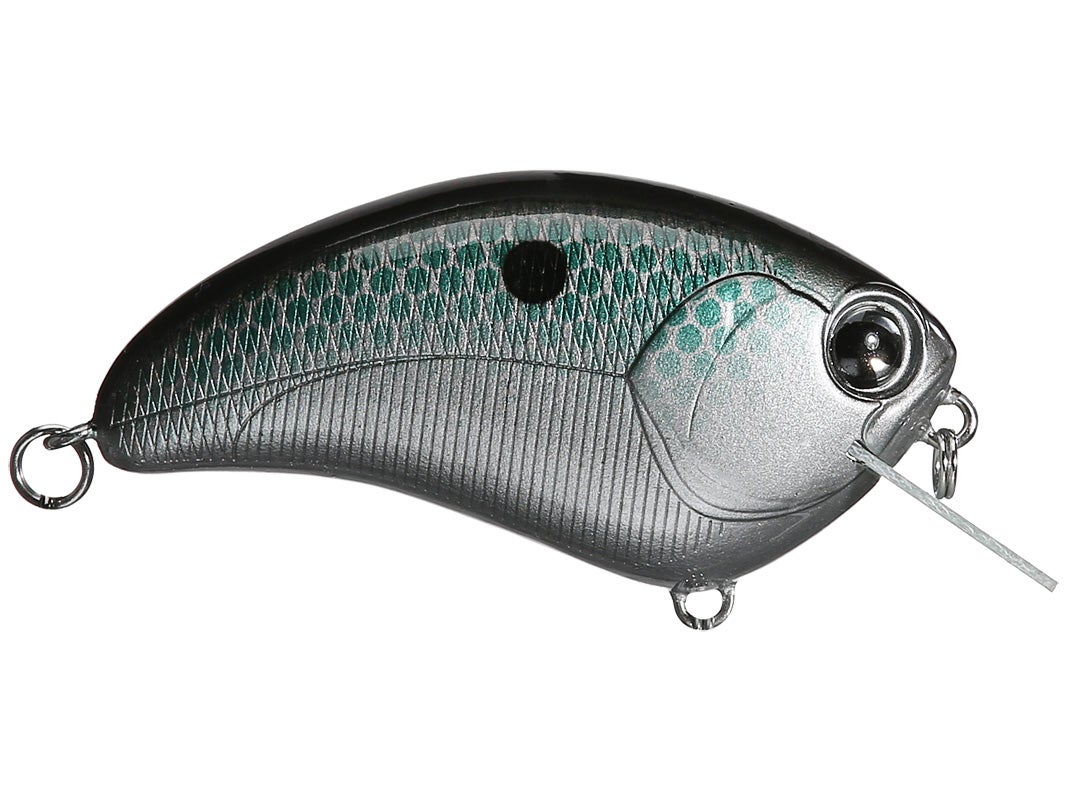 bill lowen spinnerbait