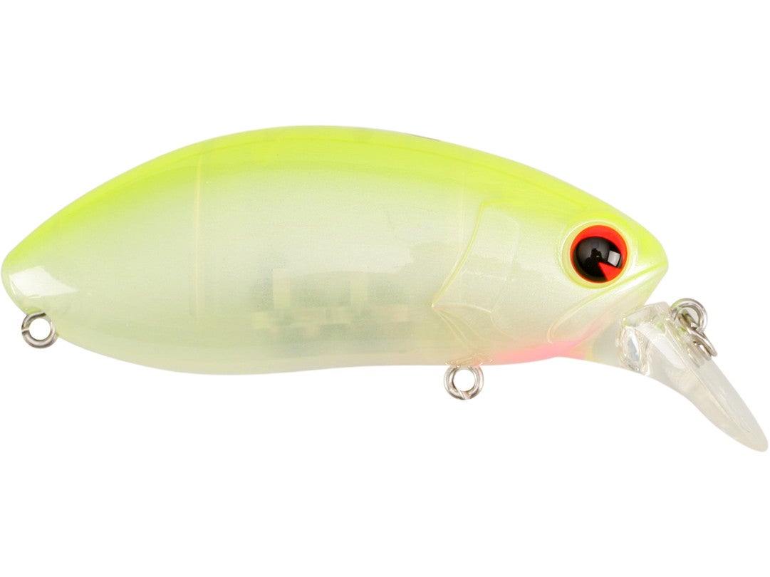 Ima Roumba • The Fishing Equipment Store Creates The Perfect Fishing - Foto 6