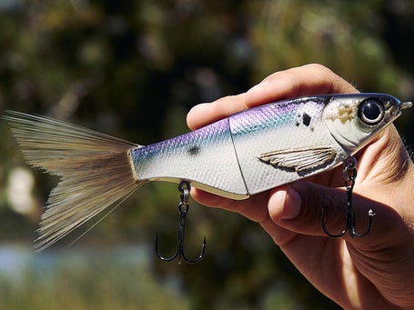 chad fishing lure Panorama - Live Shad one at the nose of the top bait or the middle bait SPRO KGB K Rig Platinum