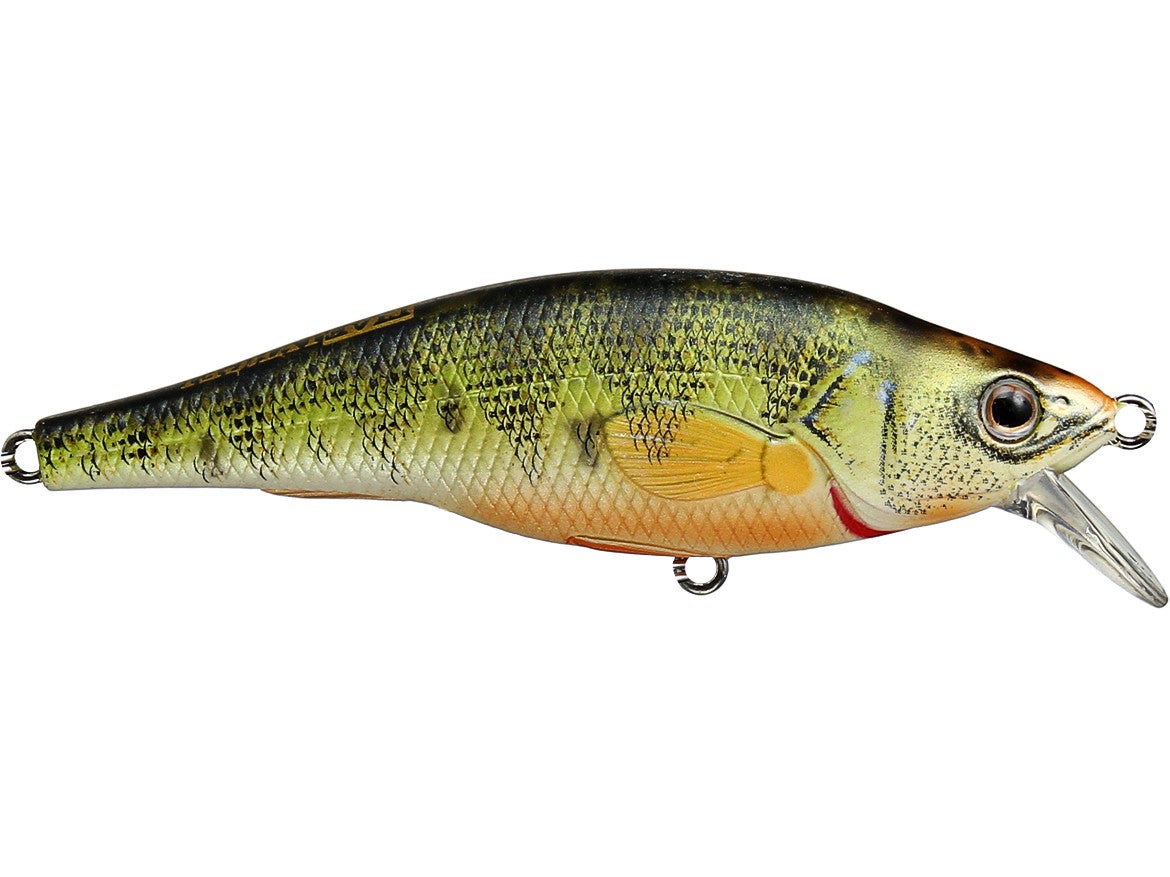 LIVETARGET Shallow Suspending Yellow Perch Jerkbait 2.8 Tackle Warehouse