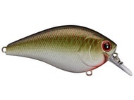 Lucky Craft 1.5 Silent Crankbait – Copper Green Shad, Freshwater Fishing Lure