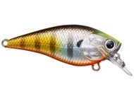 Crankbait Lucky Craft Fat CB Big Daddy Strike 2.5" 1/2 Oz BDS2 Ms Crack: Affondamento Lento Per Bass