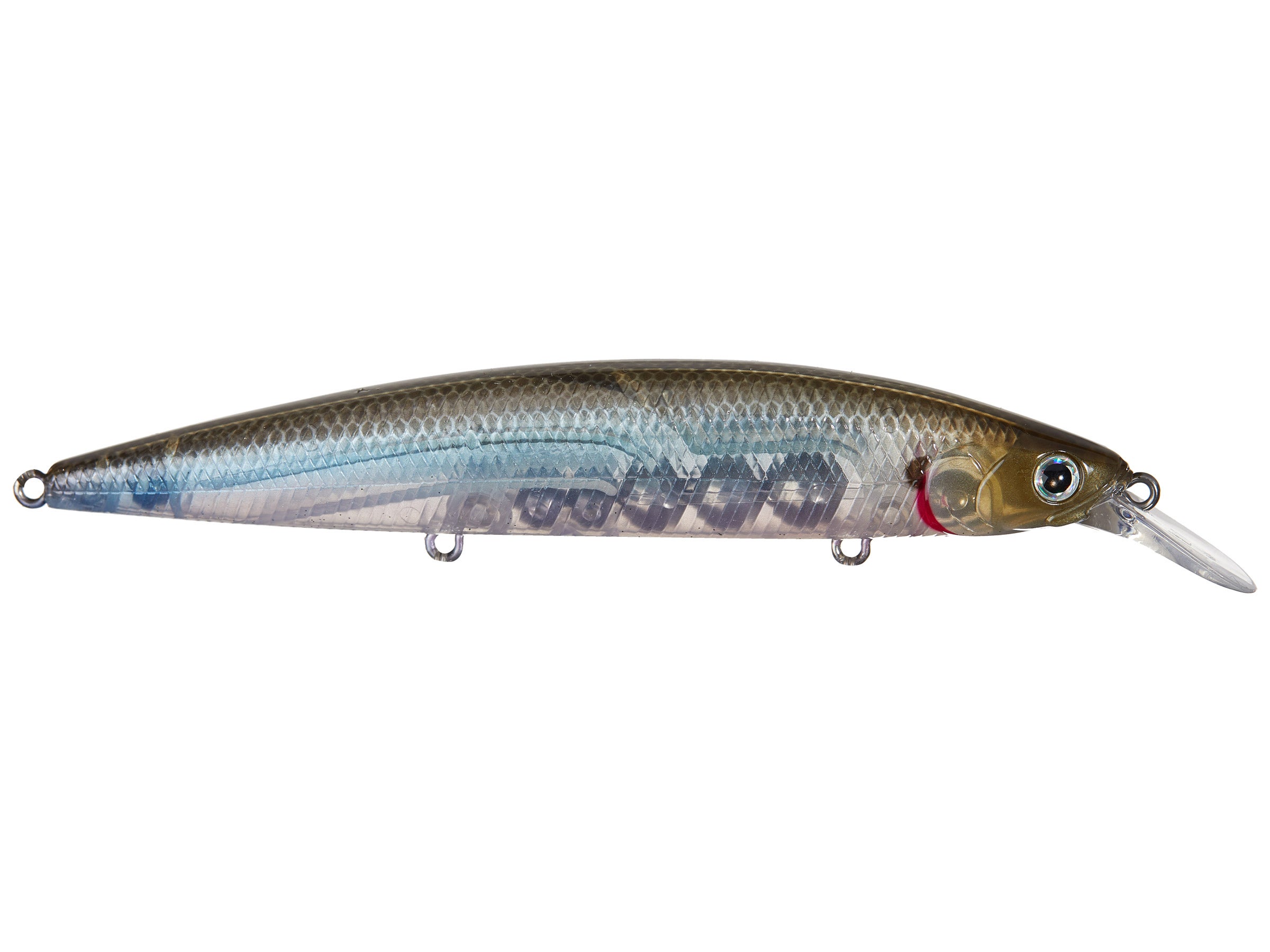 surf fishing jerkbait