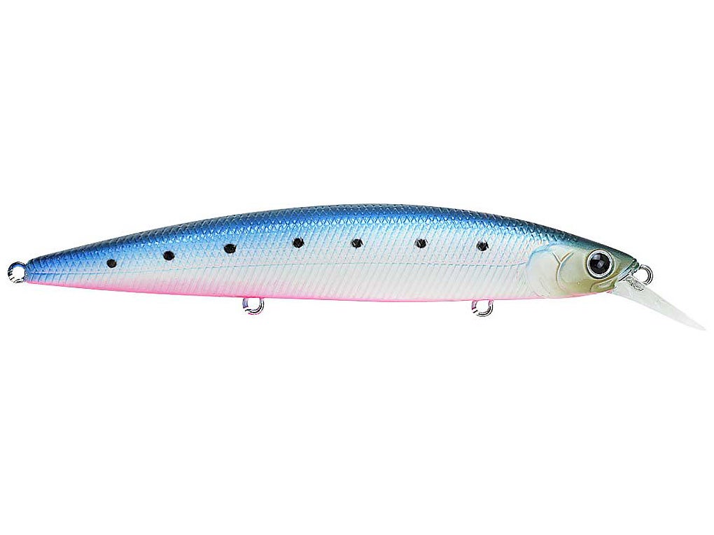 surf fishing jerkbait