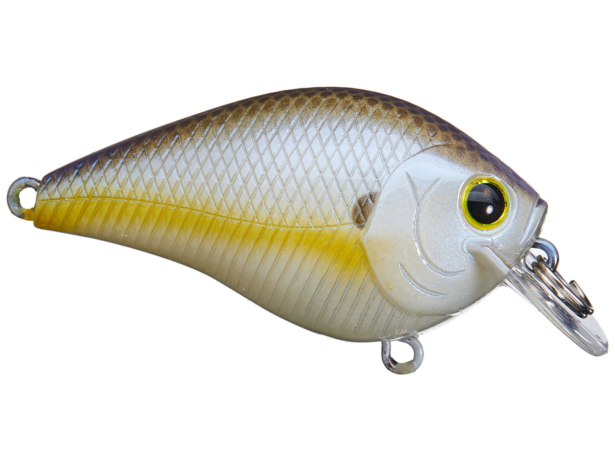 LUCKY CRAFT FAT CB BIG DADDY STRIKE 2 in ROOT BEER GREEN - Toad Tackle