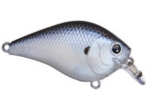 Lucky Craft Fat BDS-1 Ghost Tennesse Shad