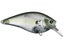 Lucky Craft Fat BDS-4 Phantom Chartreuse Shad