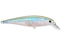 Lucky Pointer 78 MS Ghost Herring