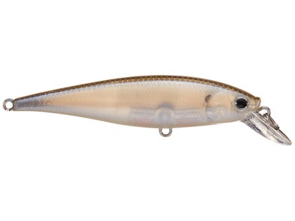 Lucky Craft Humpback Minnow 50SP - Bass Store Italy: Oltre 50.000 Prodotti Pesca Sportiva in Pronta Consegna Lucky Craft Humpback Minnow 50SP - Bass Store Italy: Oltre 50.000 Prodotti Pesca Sportiva in Pronta Consegna
