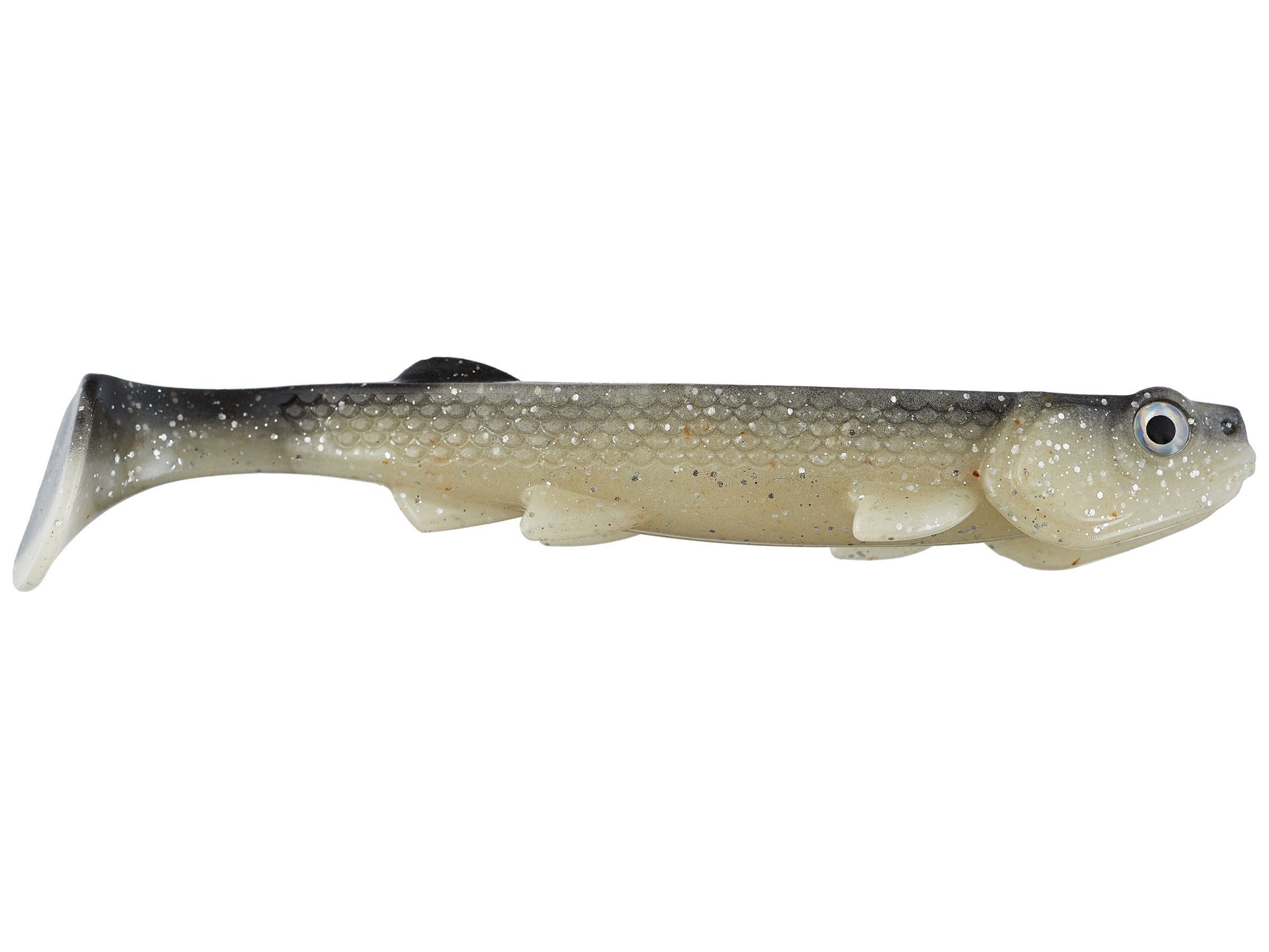 fetch swimbait
