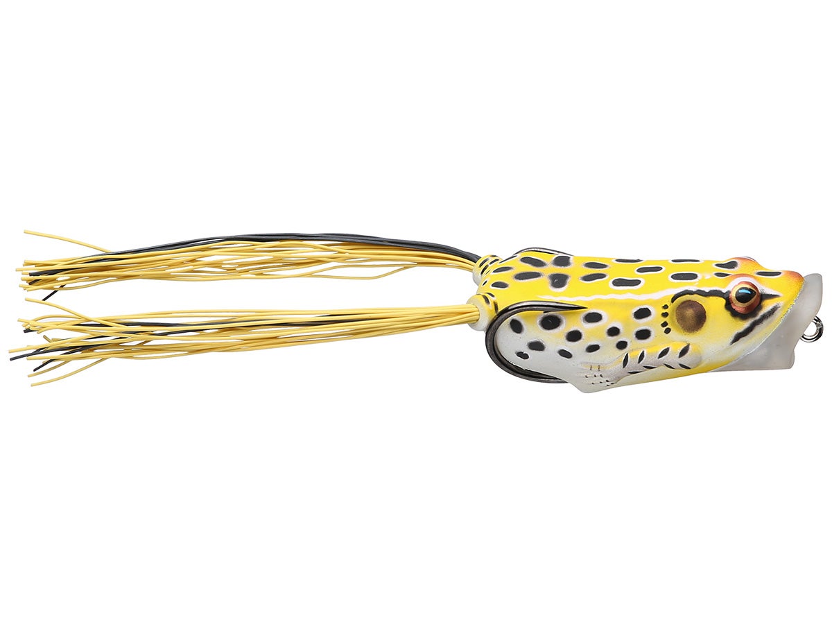 LIVETARGET Scott Martin Hollow Body Popper Frog - Tackle Warehouse