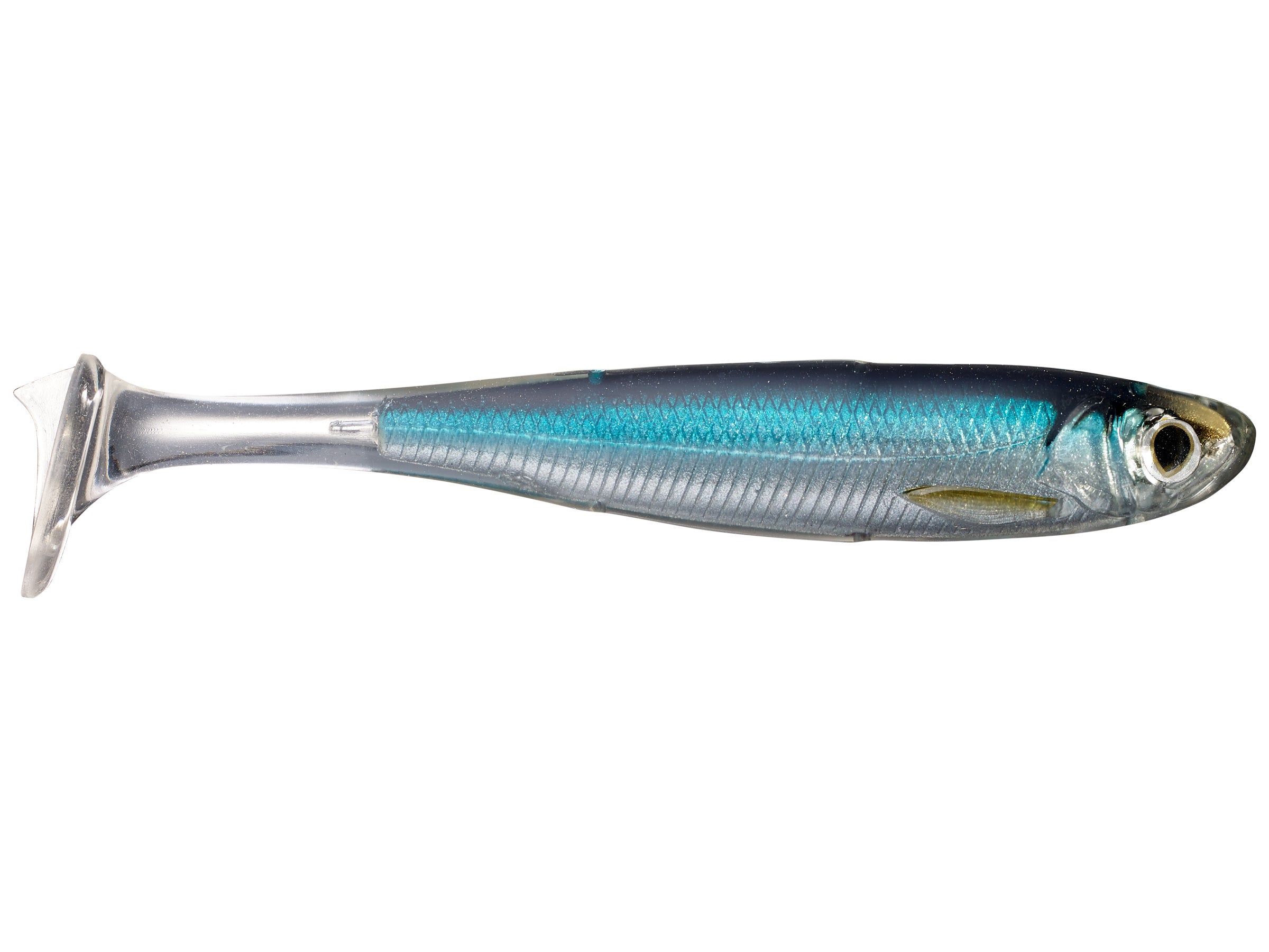 LIVETARGET Slow Roll Shiner Swimbait - Tackle Warehouse