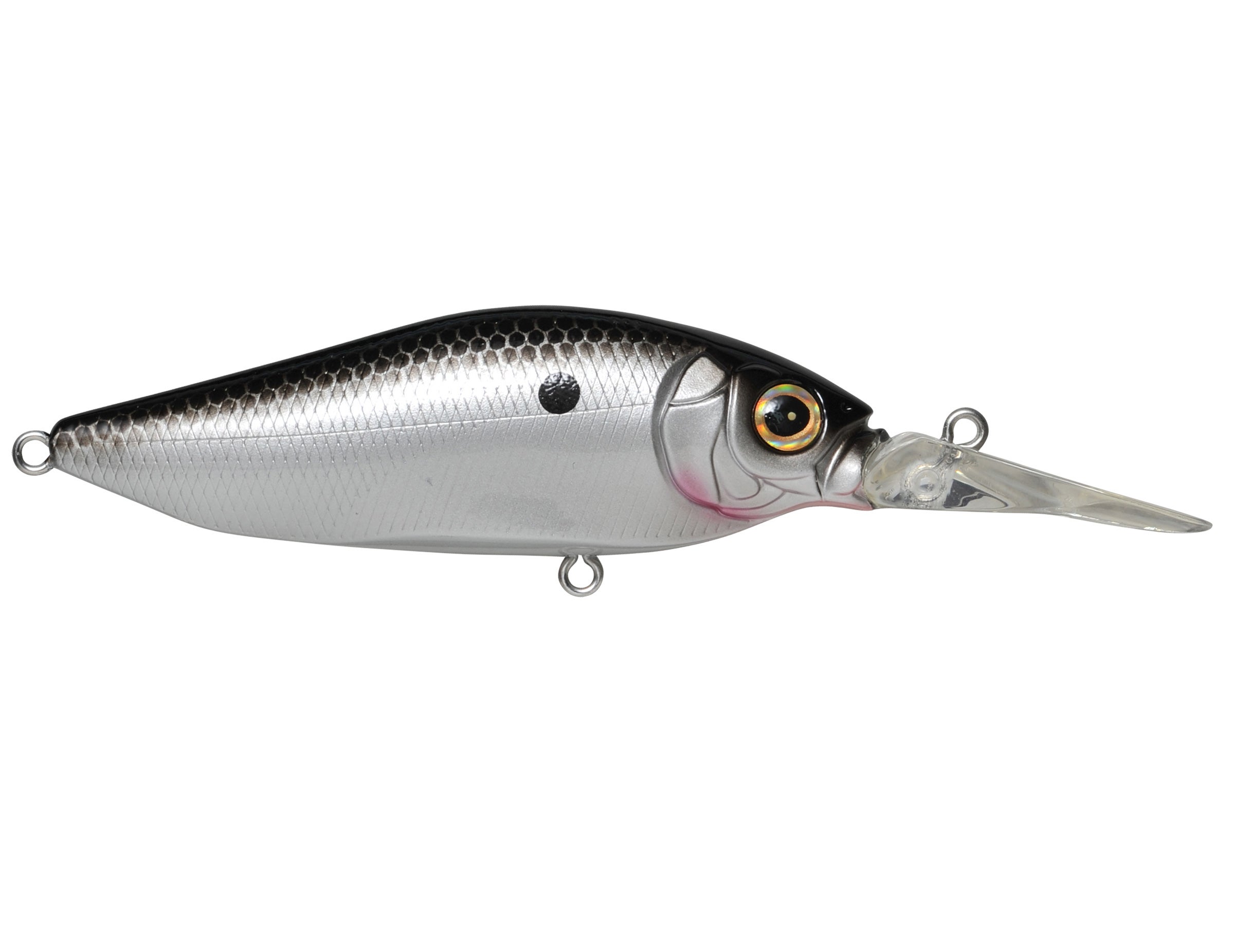 Megabass Diving Flap Slap Crankbaits Tackle Warehouse