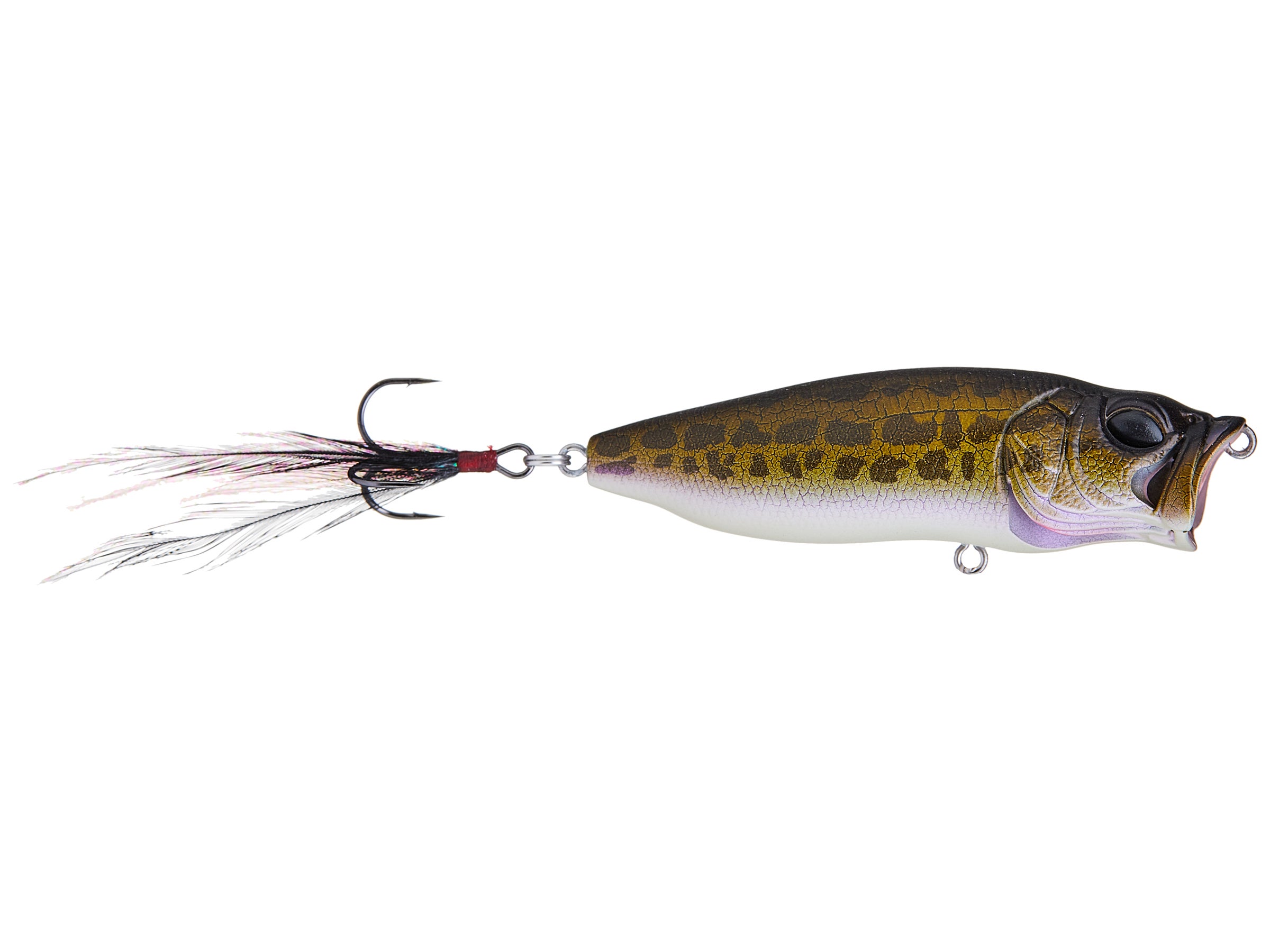 Megabass Pop Max - Tackle Warehouse