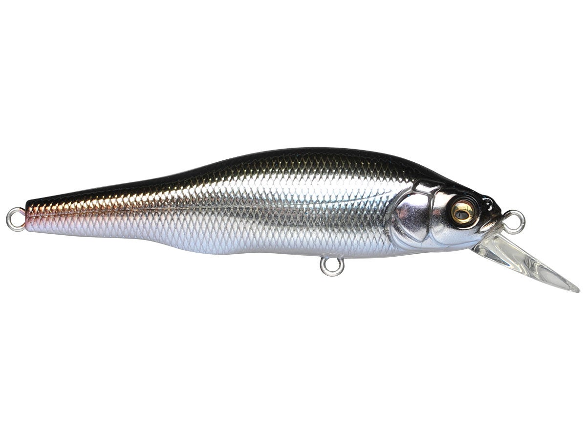 Megabass X-80 Trick Darter 8cm - Suspender Jerkbait für Barsch