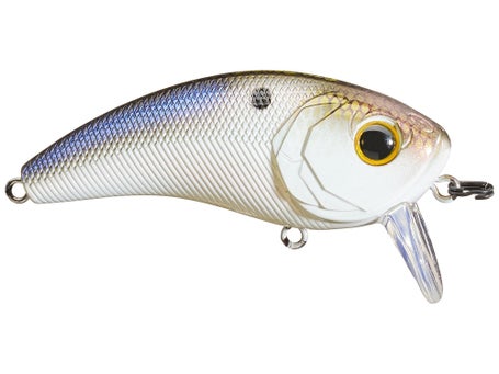 6th Sense Movement 60 WK Freshwater Wakebait