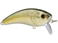 6th Sense Movement 60 WK Saltwater Wakebait