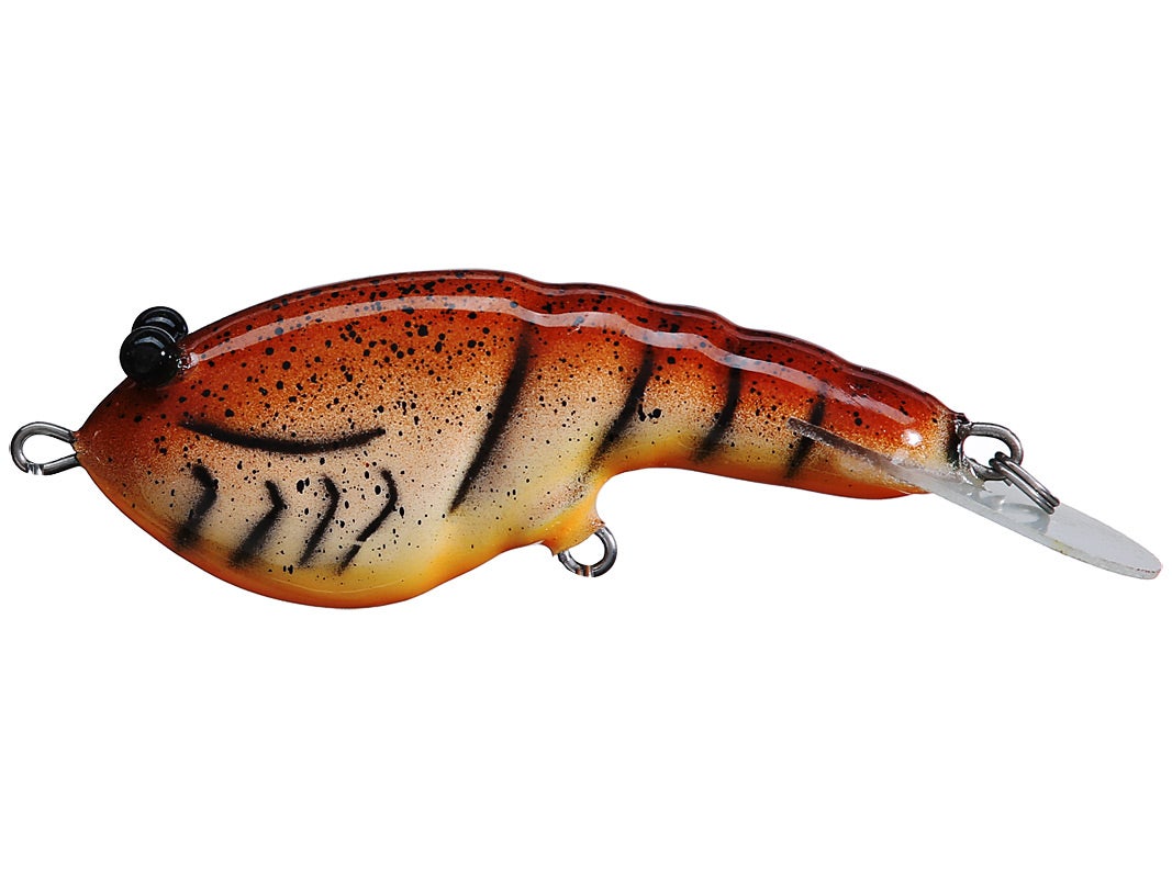 Custom Balsa Crankbait PH Custom Lures Lowen's Dollar Bill Chart Mudbug 