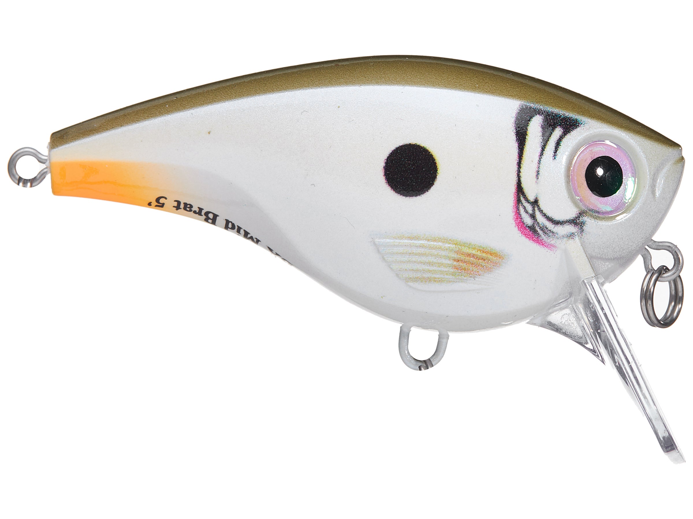 Rapala Balsa Xtreme BX Mid Brat Squarebill Crankbait - Tackle Warehouse
