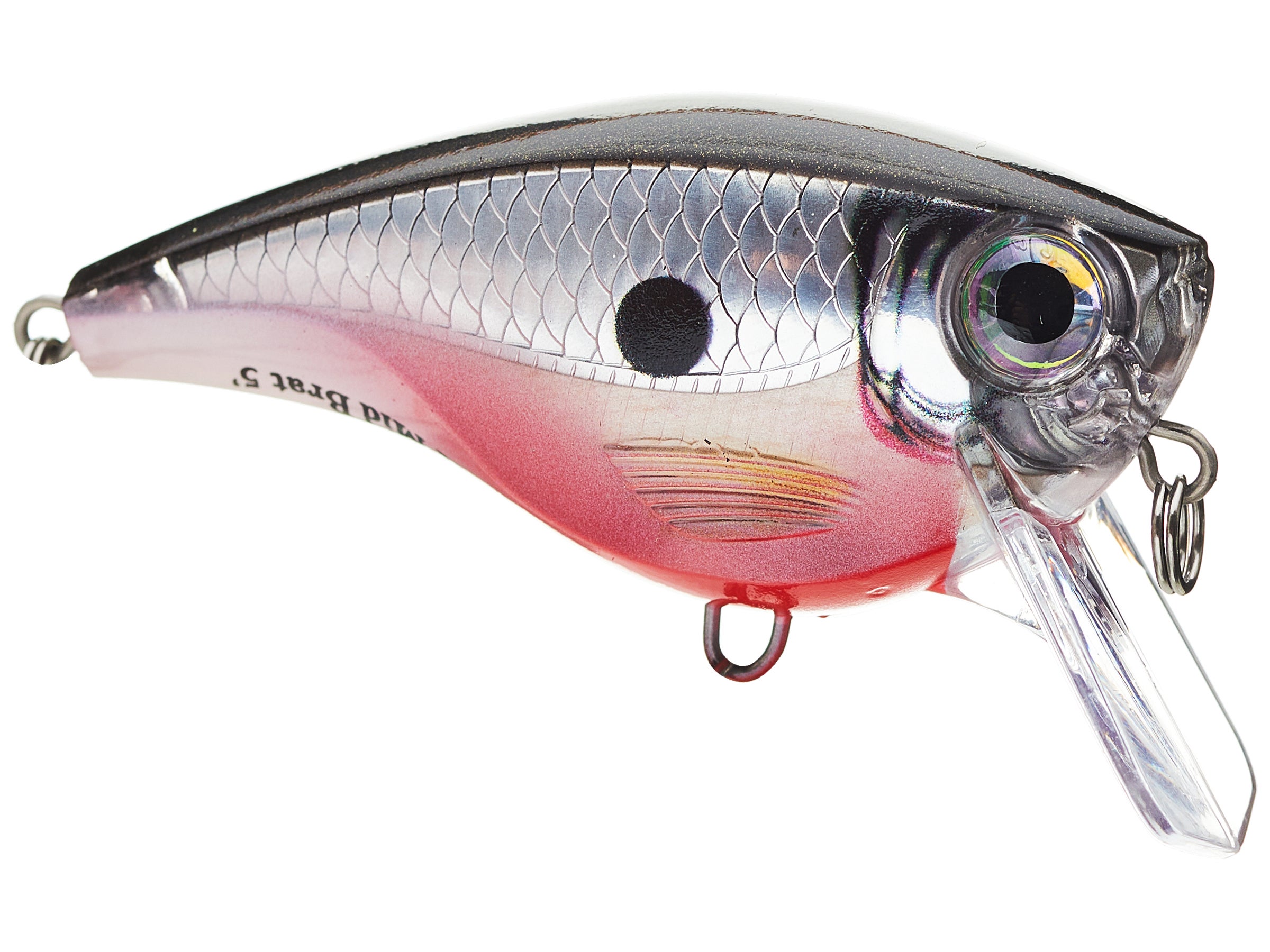 Rapala Balsa Xtreme BX Mid Brat Squarebill Crankbait - Tackle Warehouse