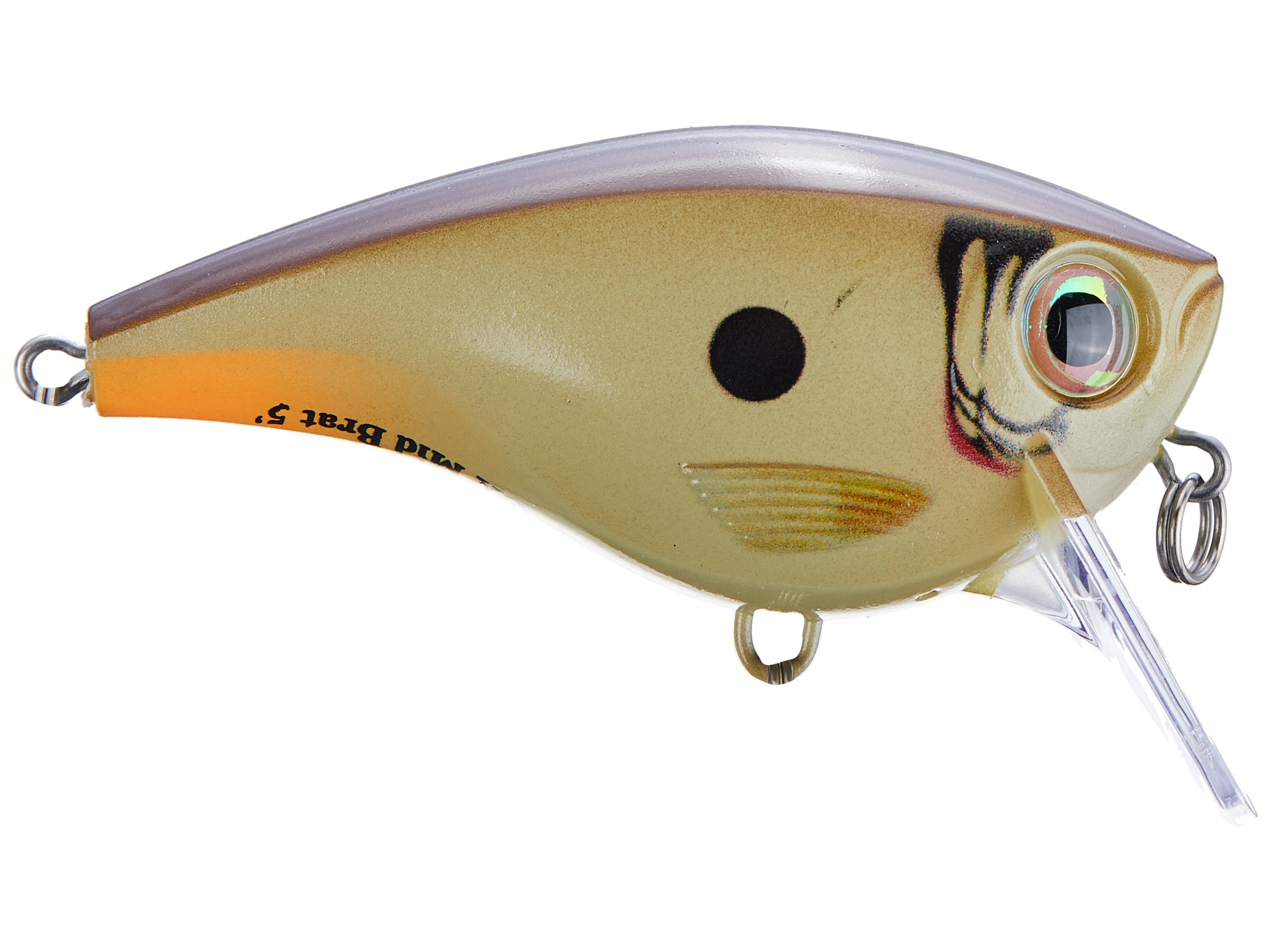 Rapala Balsa Xtreme BX Mid Brat Squarebill Crankbait - Tackle Warehouse