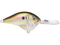 Rapala DT10 Live River Shad 