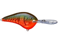 Rapala Ike's Custom Ink DT Crankbait - Perfect For Bass Fishing