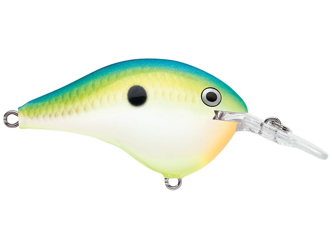 Leurre Rapala Parrot DT-6 – Crankbait Balsa Pour Achigan, Boîte Attache