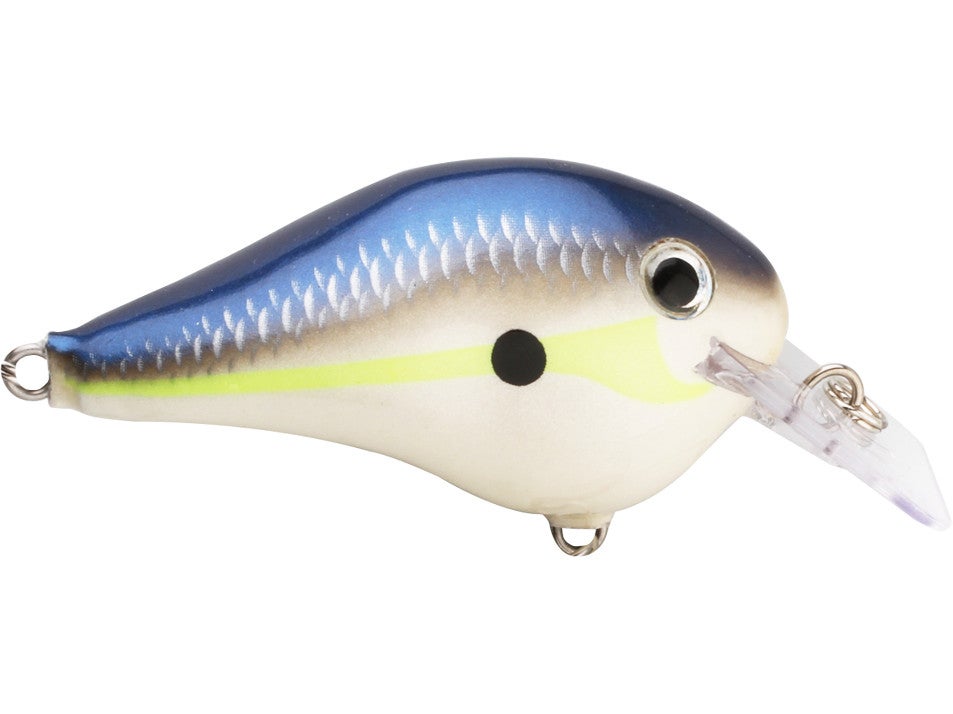 Rapala DT Fat 1 Fishing Lure