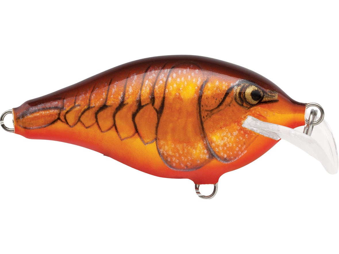 rapala scatter rap shallow