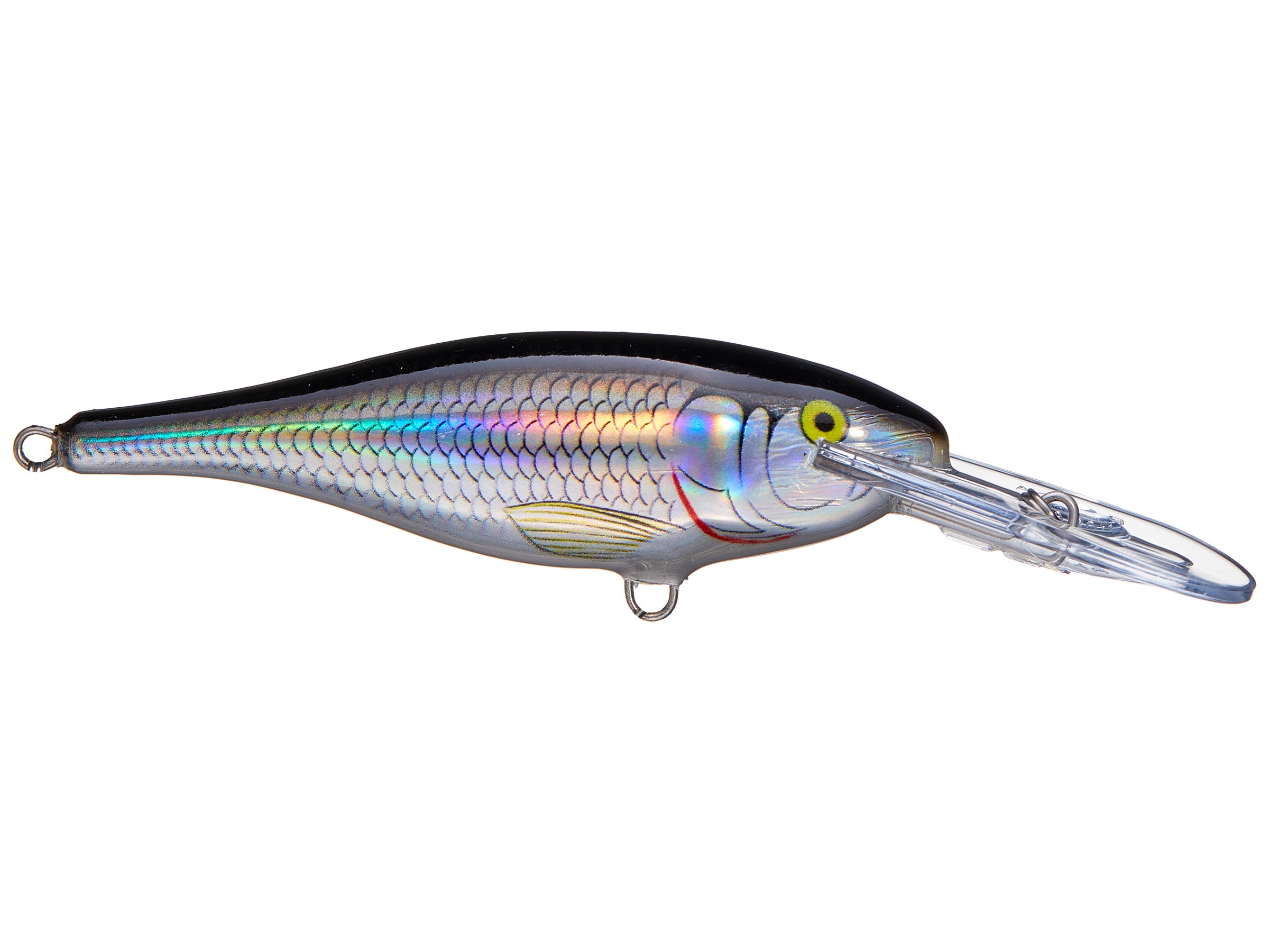 Rapala Shadow Rap Shad 09 in Live Roach