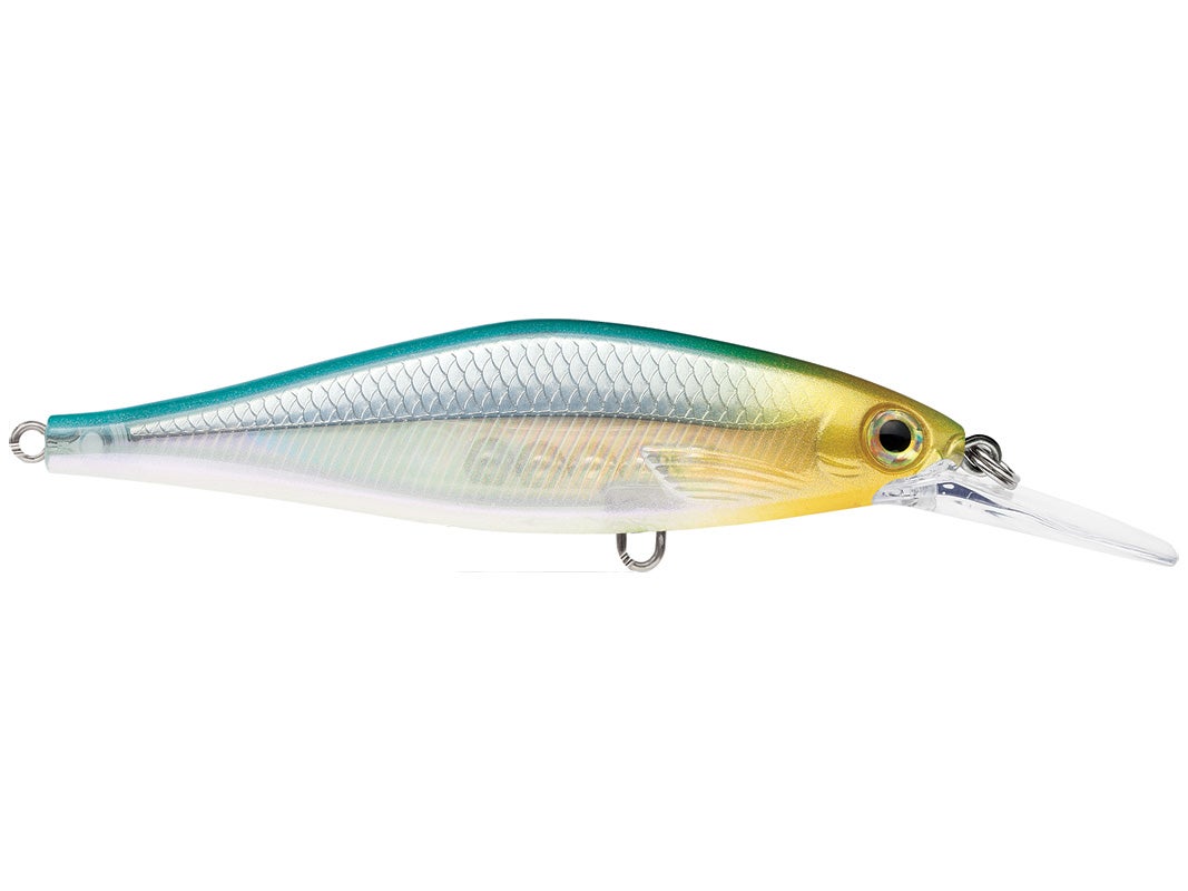 Rapala Shadow Rap Shad Deep Jerkbaits - Tackle Warehouse