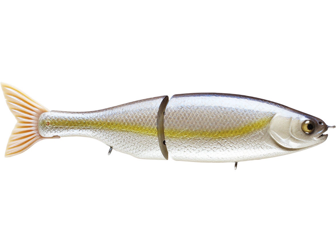 Smith Baits Hitch X Glide Bait