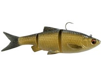 Hesroicy Hard Fishing Bait 3D Simulation Fisheye Increased Fish