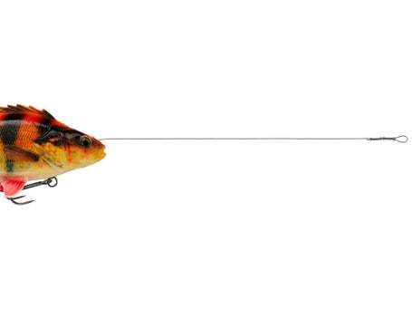 4D Yellow Perch Albino / 6.75 in 4D Yellow Perch Albino / 6.75 in