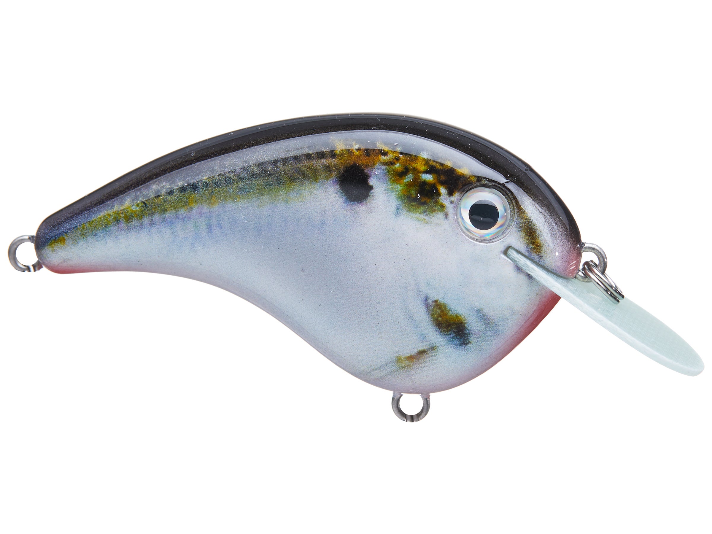 Strike King Chick Magnet Flat Sided Crankbait - Tackle Warehouse