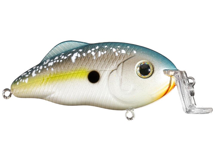 Path Walk Shad Strike King Sexy Shad 2.0 - Tackle Warehouse