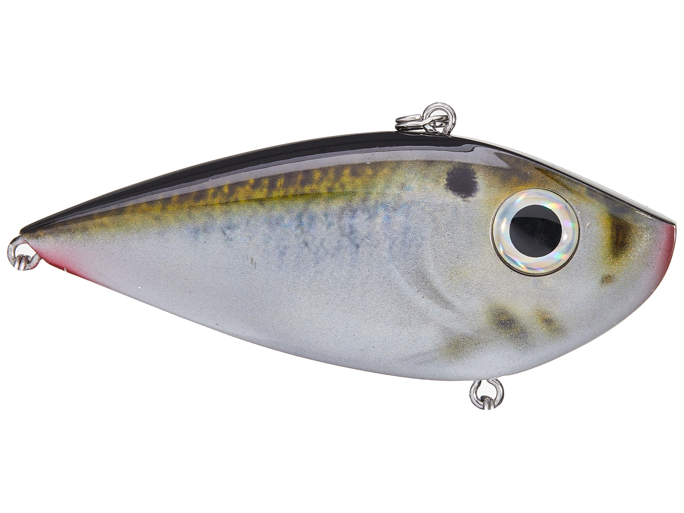 Strike King Red Eye Shad Tungsten 2 Tap - Tackle Warehouse